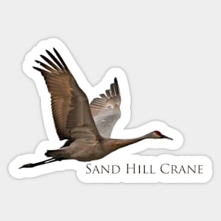 Sandhill Crane in Flight Sticker